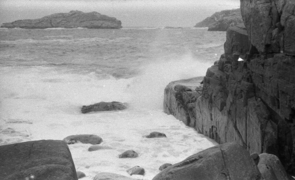 1971 г.  Баренцево море. Экспедиция на Баренцево море.