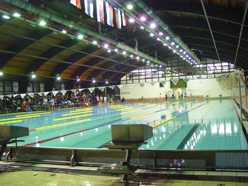 06-30  2006 г.  Бассейн перед стартами. II этап Кубка мира. Хайдусобосло. Венгрия..JPG
